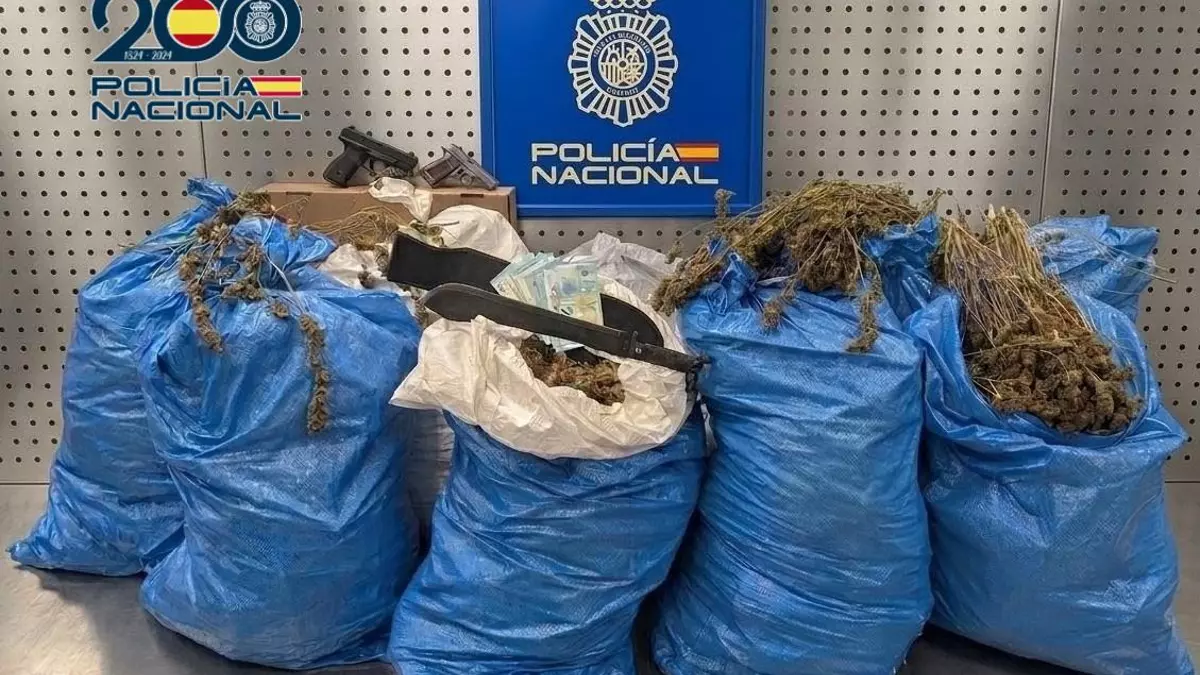 DESMANTELADA EN CÓRDOBA UNA IMPORTANTE PLANTACIÓN DE MARIHUANA CON DOS DETENIDOS
