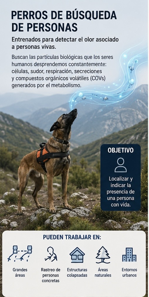 Perros de búsqueda de personas vs. perros de búsqueda de restos humanos: dos especialidades diferentes basadas en el olor humano