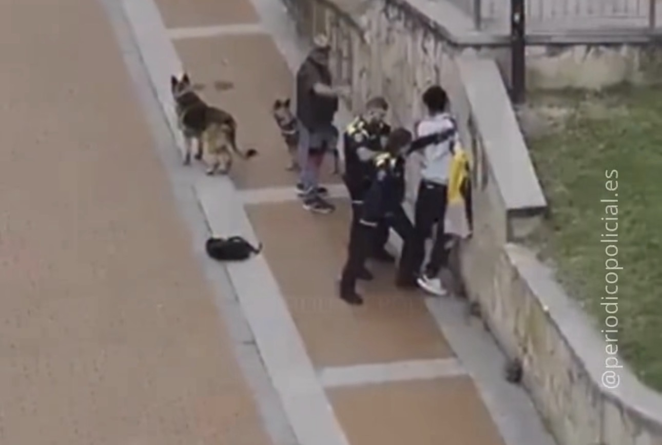 Detenido tras un presunto robo…