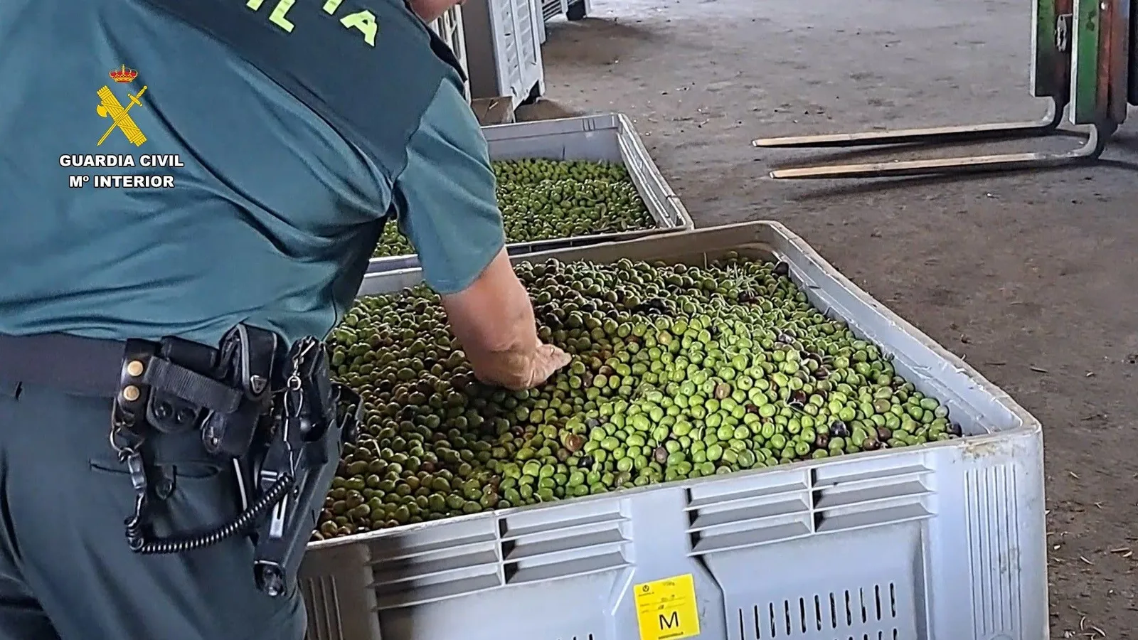 La Guardia Civil dona cientos de litros de aceite de oliva al Banco de Alimentos de Córdoba