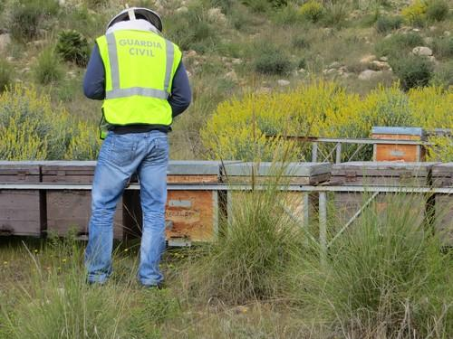 Investigan a un hombre por el robo de varias colmenas valoradas en más de 5.000 euros en Galicia