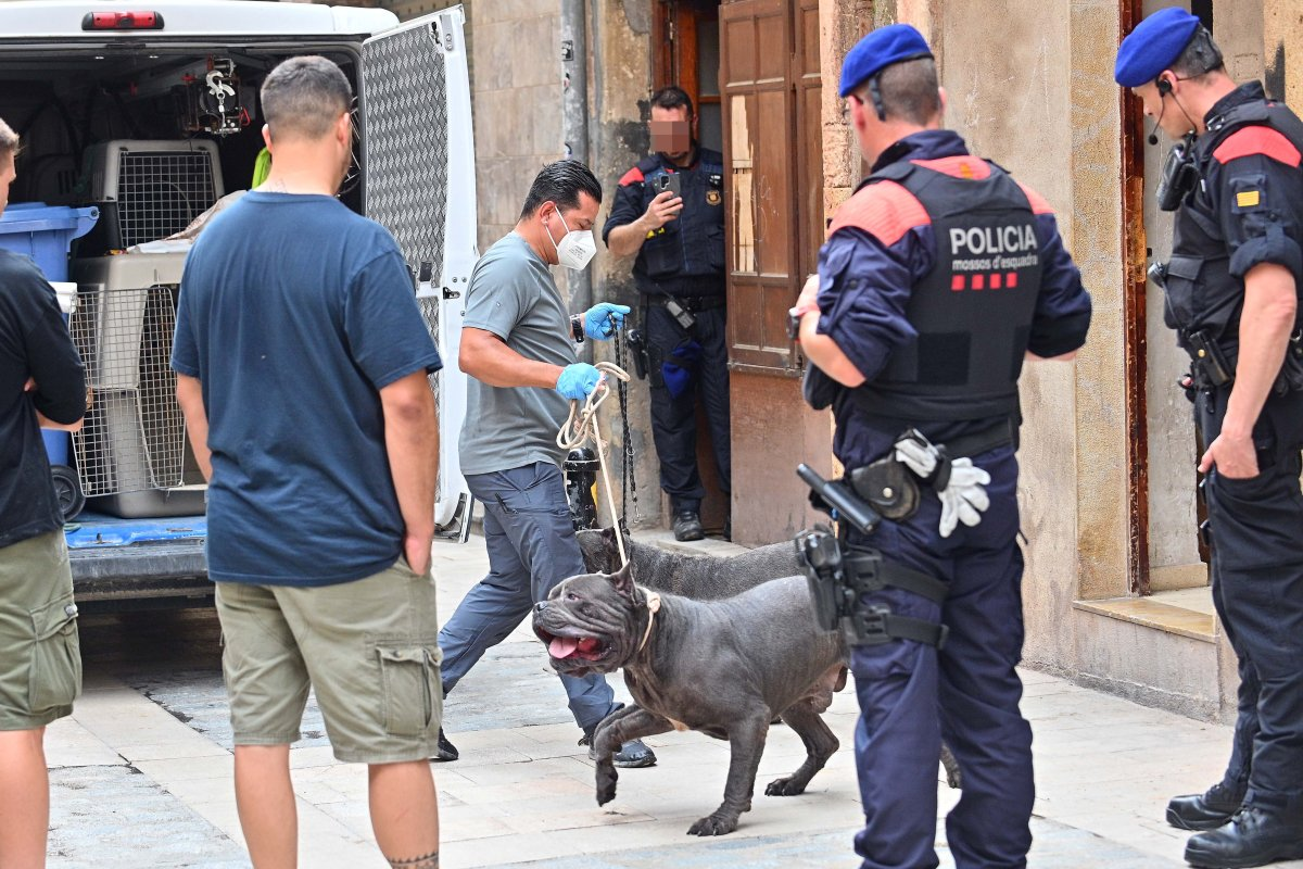 Prisión sin fianza para dos detenidos tras desmantelar un punto de venta de drogas en Reus