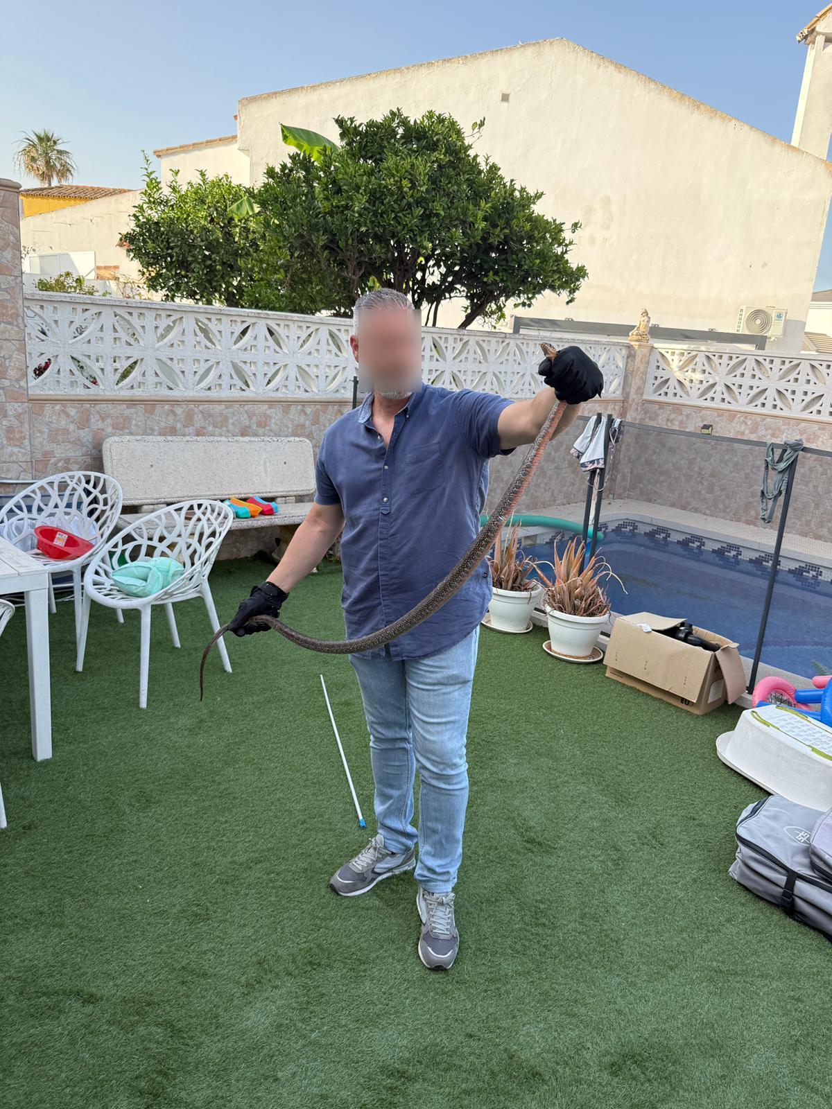 La Policía Local captura una serpiente de 1,70 metros en el interior de una vivienda de San García