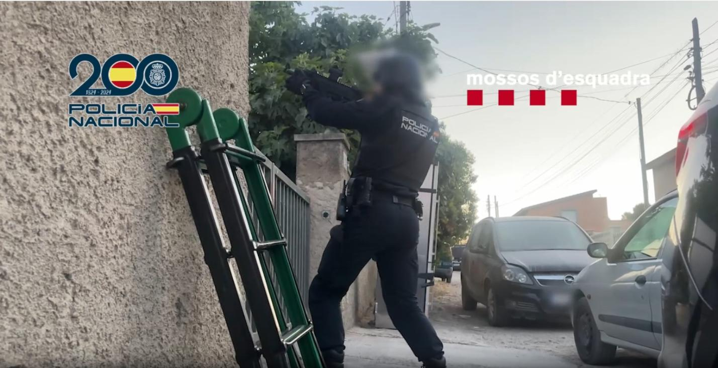 Desmantelada en Tarragona una red criminal dedicada al cultivo intensivo de marihuana con 14 detenidos y más de 5.000 plantas intervenidas