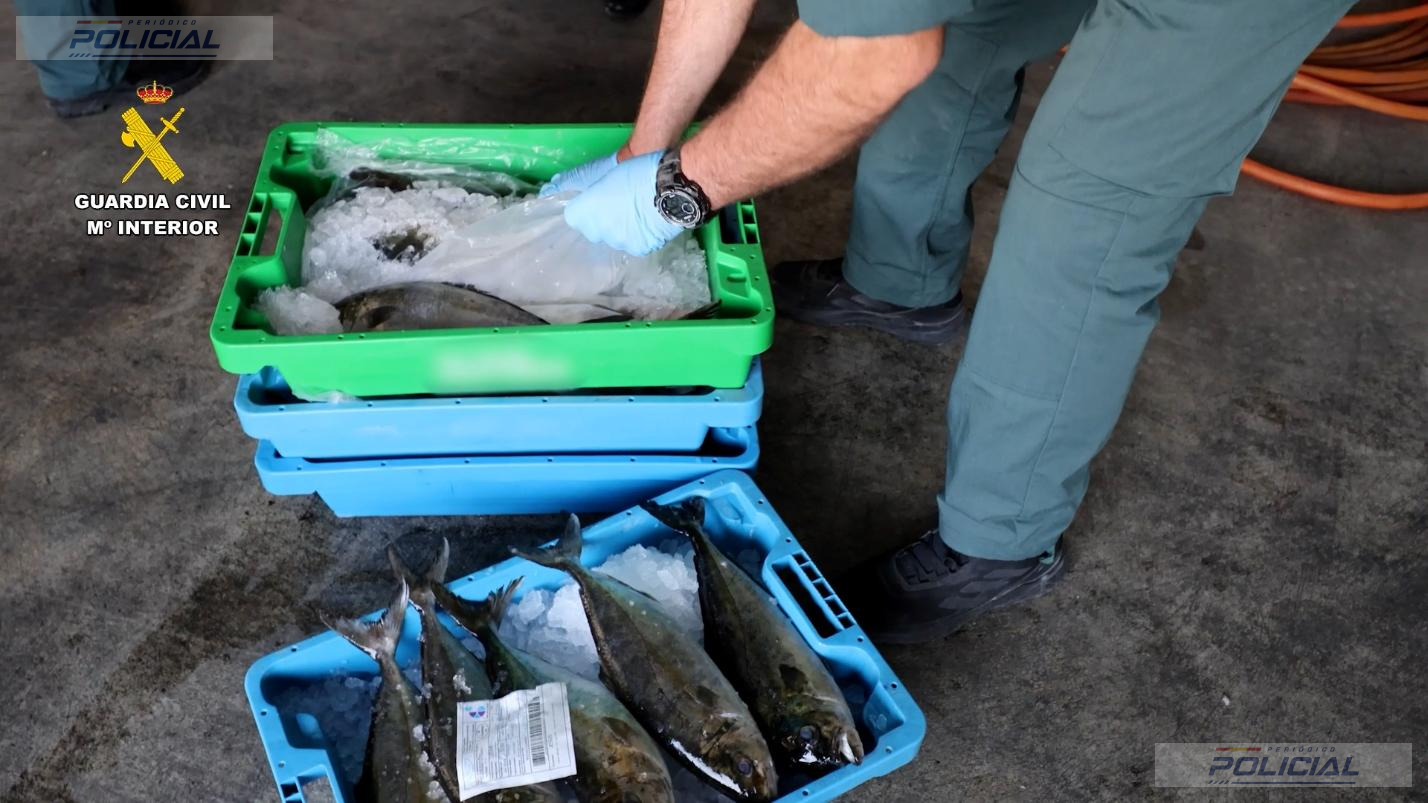 Detenidas dos personas por comercializar pescado robado con residuos de medicamentos como si fuera de captura salvaje