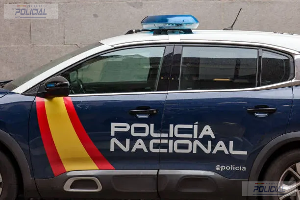 Detenido en Palencia por incumplir una orden de alejamiento y amenazar a agentes de la Policía Nacional durante su arresto