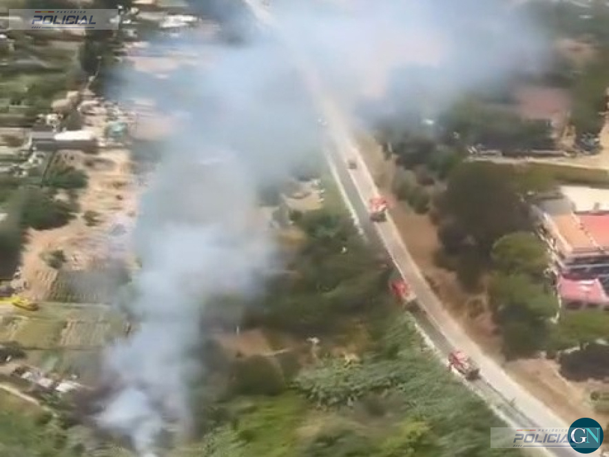 Los Bomberos estabilizan un incendio de vegetación junto a la N-260 en Llançà