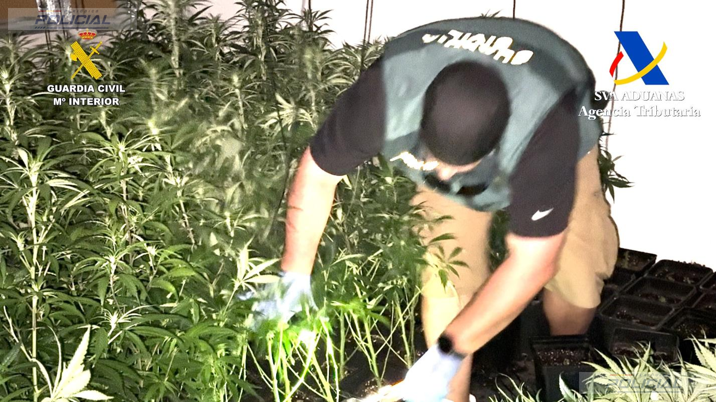 Once detenidos tras desarticular en Granada una organización especializada en violentos “vuelcos de droga”