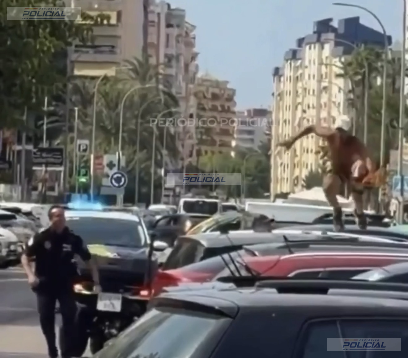 Detenido un “gorrilla” tras robar material de un vehículo de la Policía Local y huir por los coches en la playa de Gandia