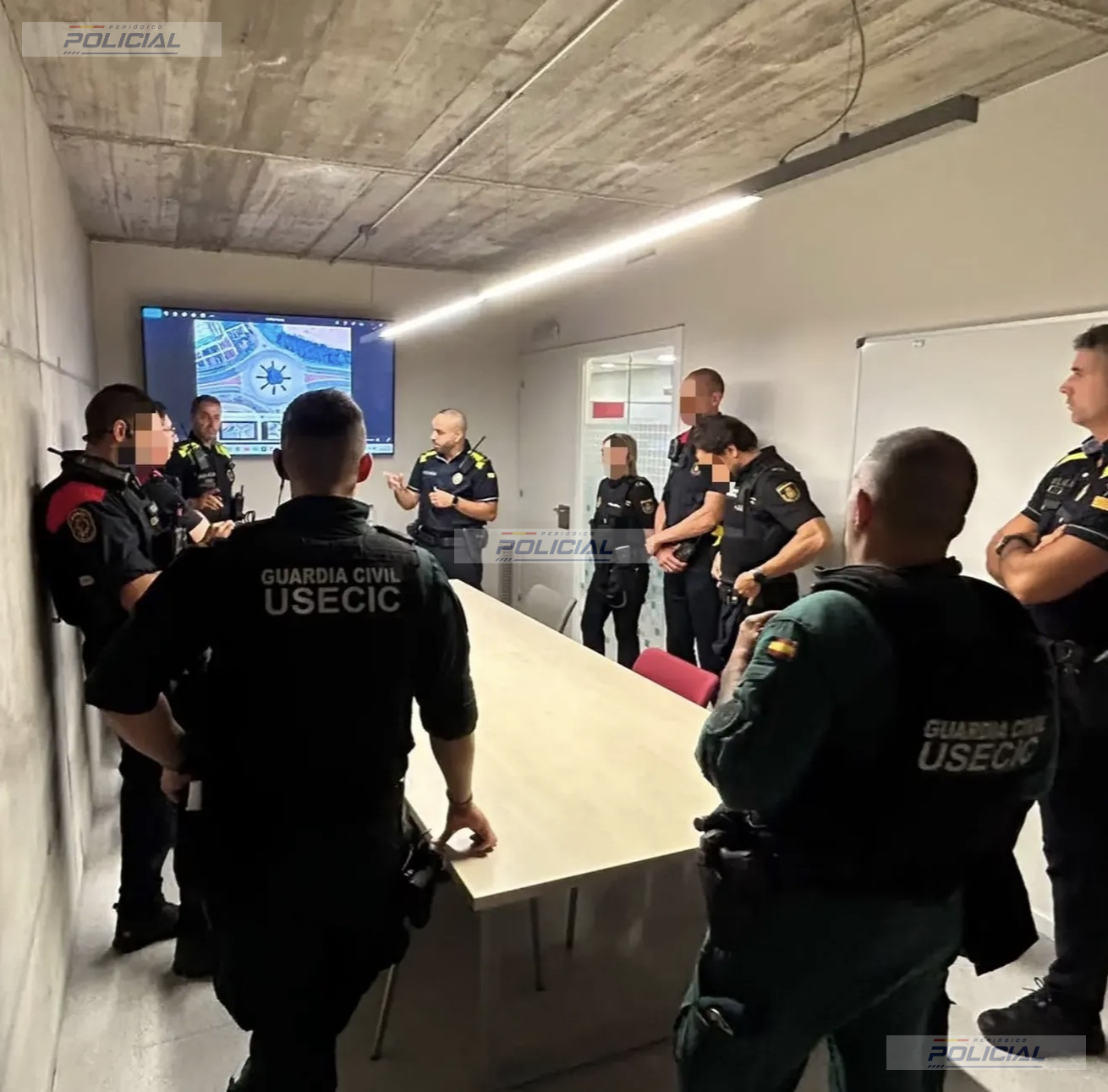 Dos detenidos y 93 personas identificadas en un dispositivo conjunto contra la multirreincidencia en Empuriabrava