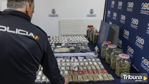 Salamanca registró 1.682 denuncias relacionadas con drogas y 60 detenidos durante 2025