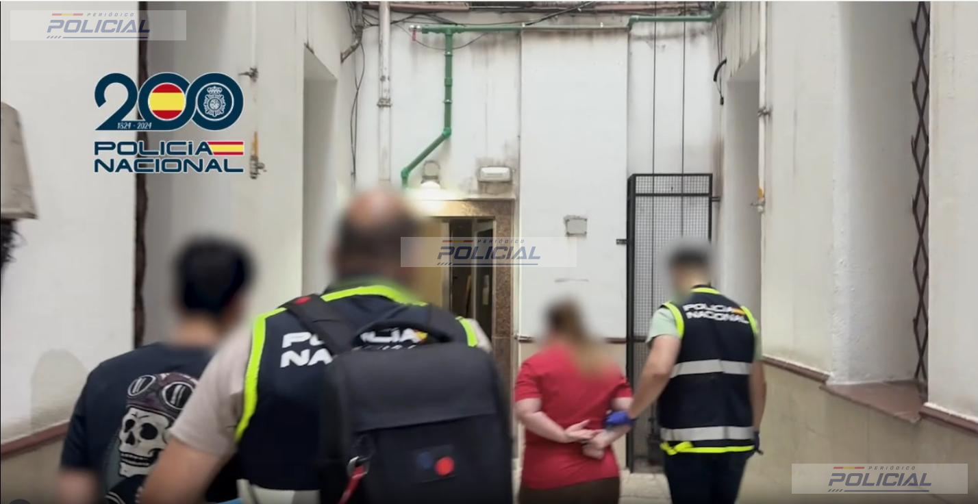 La Policía Nacional detiene a siete cibercriminales que obtenían móviles de alta gama sin pagarlos mediante un script informático