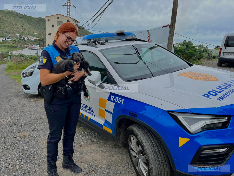 La Unidad de Mediación y Convivencia de la Policía Local de Las Palmas realiza 704 servicios en el primer semestre de 2026