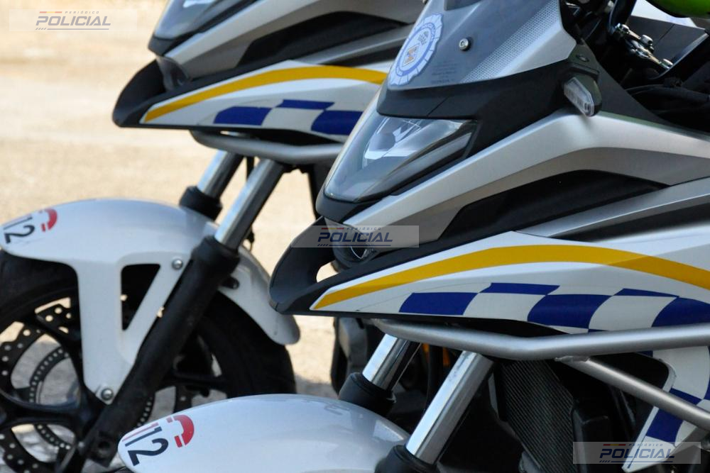 La Policía Local de Palma detiene a dos jóvenes por un presunto hurto en las zonas de Ciutat Jardí y El Molinar