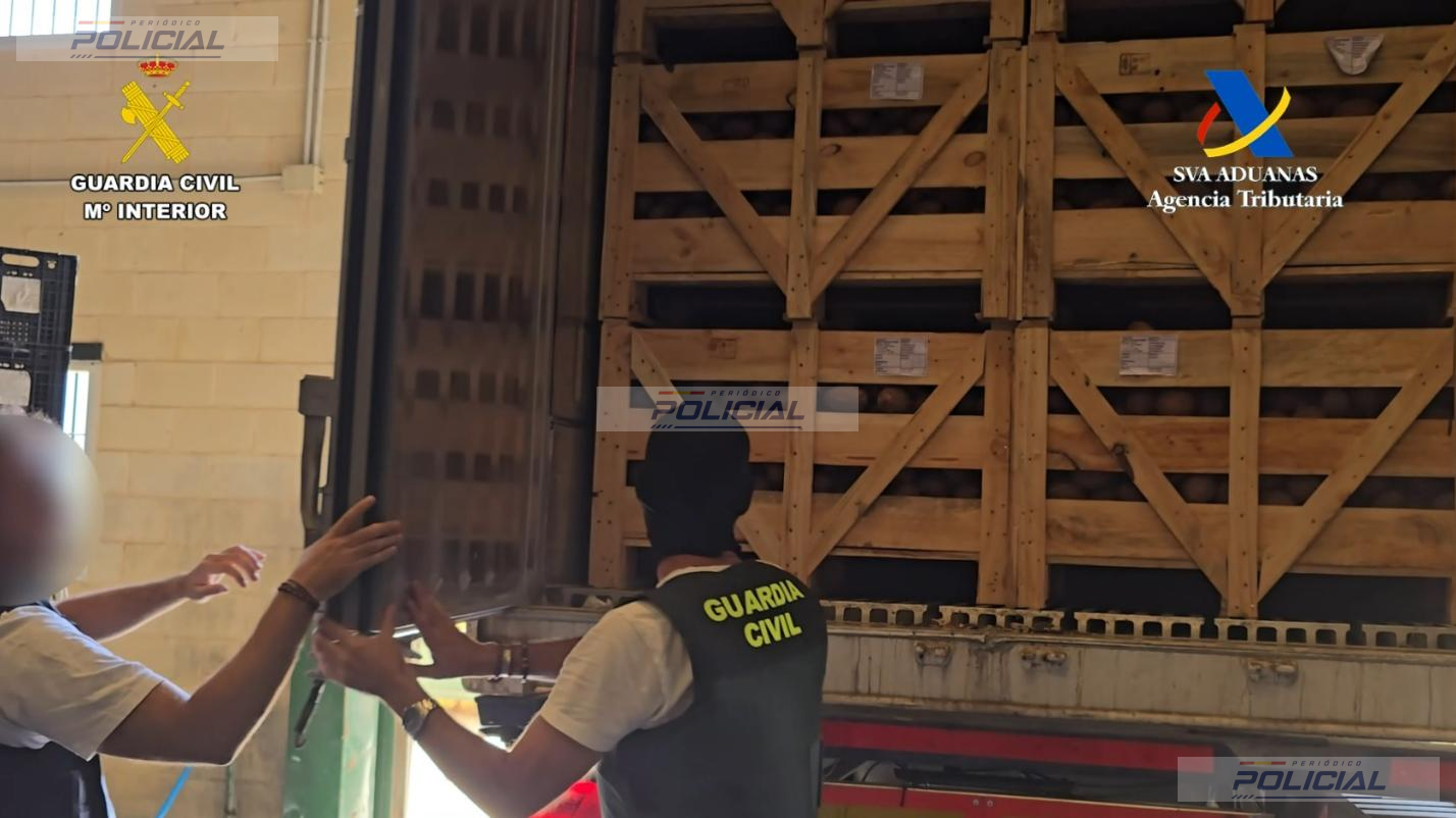 Interceptados más de 1.200 kilos de cocaína ocultos en un cargamento de cocos en Sevilla