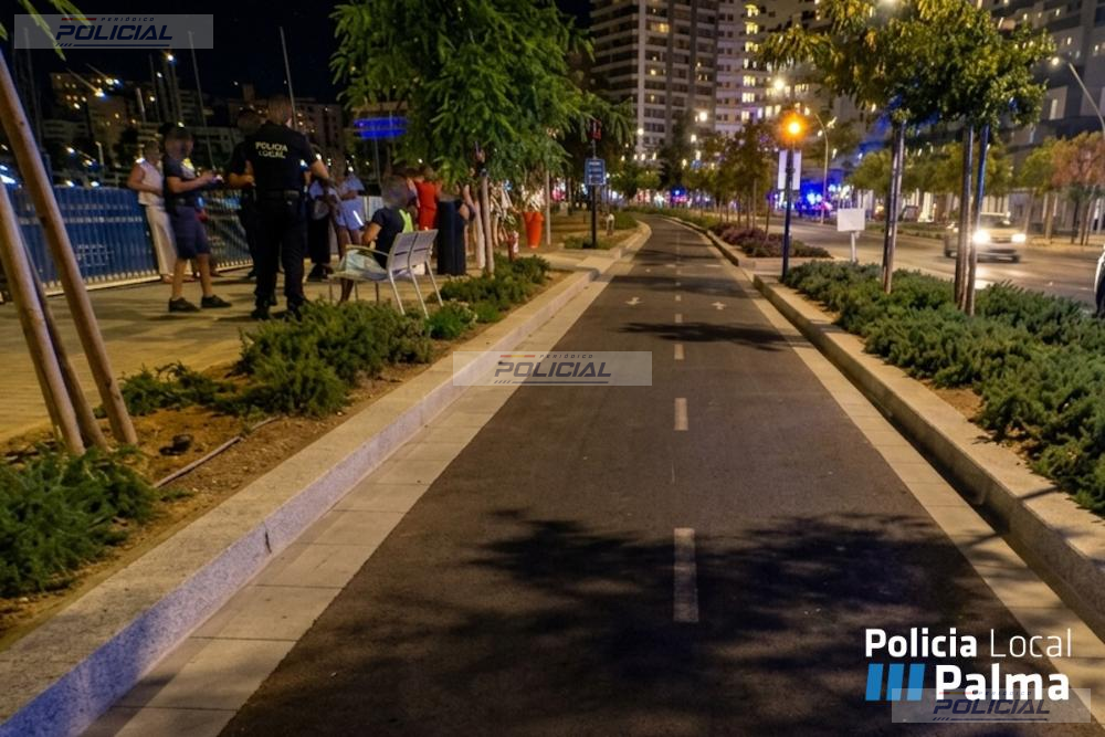 Investigado en Palma un conductor sin puntos en el carné que dio positivo en cannabis