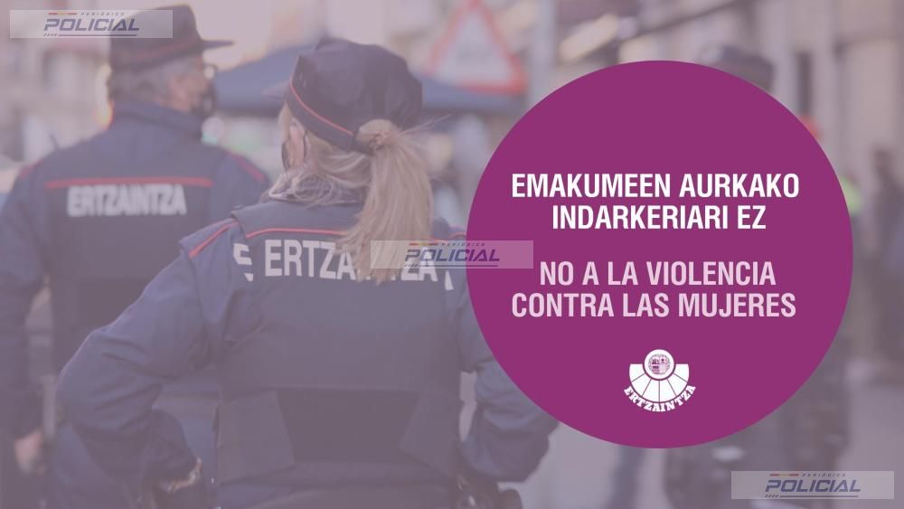 Dos detenidos en Vitoria-Gasteiz por presuntas agresiones sexuales a dos mujeres en un domicilio