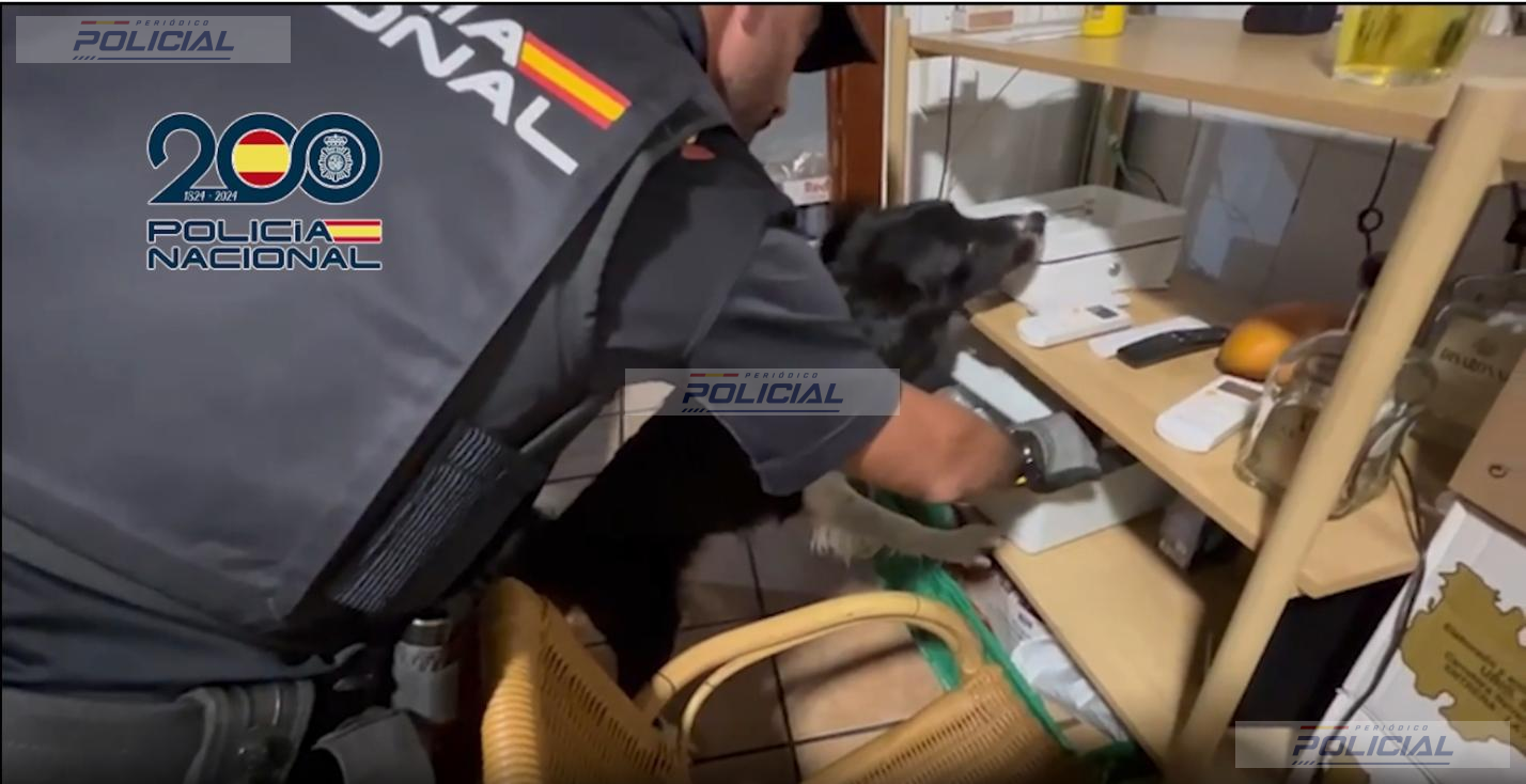 La Policía Nacional desarticula una organización dedicada presuntamente a la explotación sexual de mujeres en Córdoba y Cáceres
