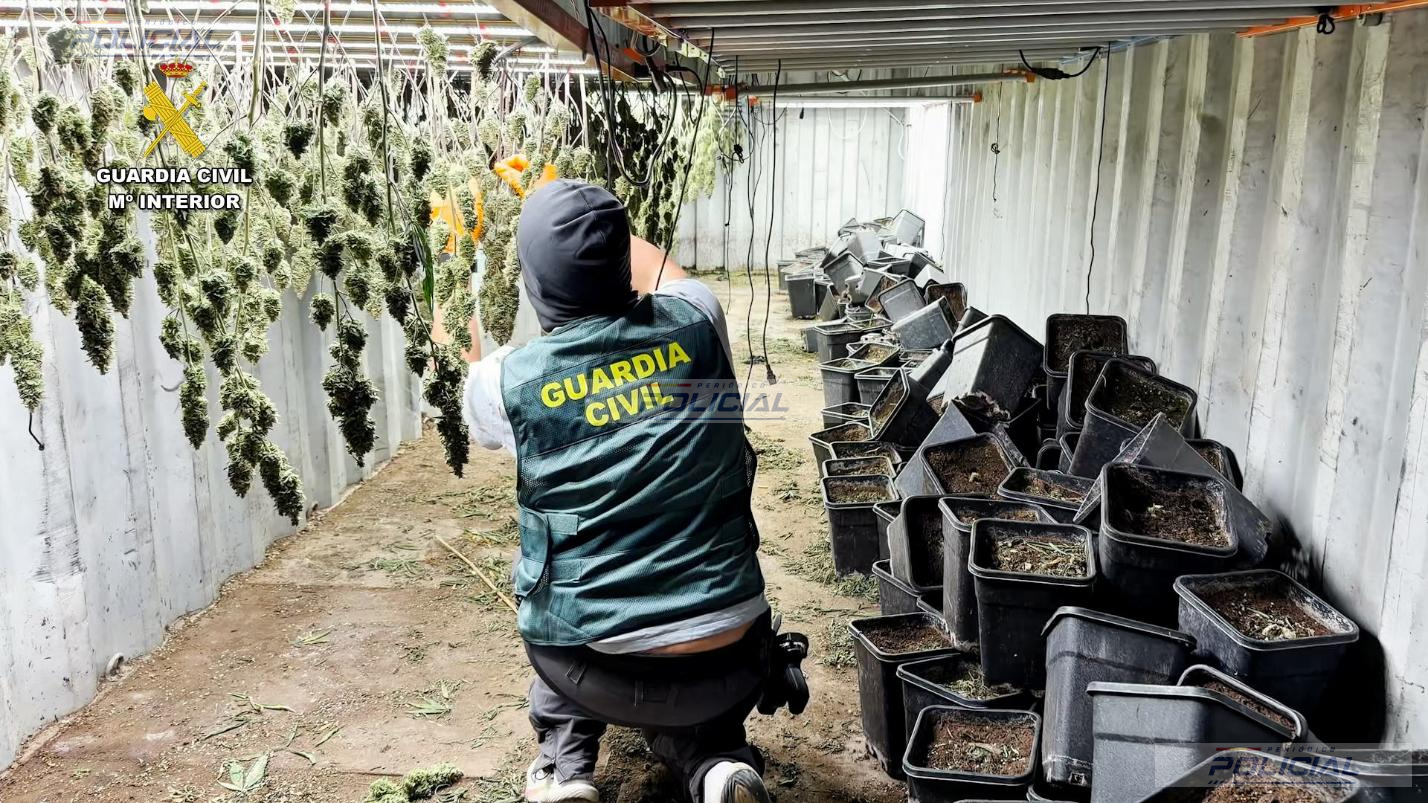 Desmantelada en Granada una plantación de marihuana oculta en cinco contenedores marítimos soterrados