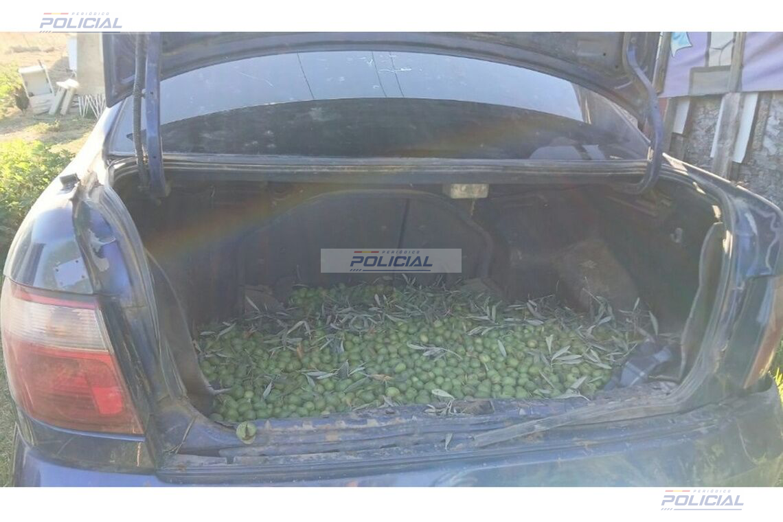 La Policía Local de Alcalá de Guadaíra recupera 680 kilos de aceitunas robadas y detiene a cinco personas