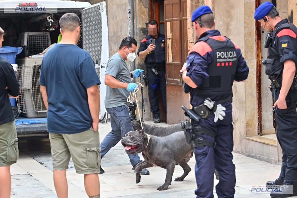 Prisión sin fianza para dos detenidos tras desmantelar un punto de venta de drogas en Reus