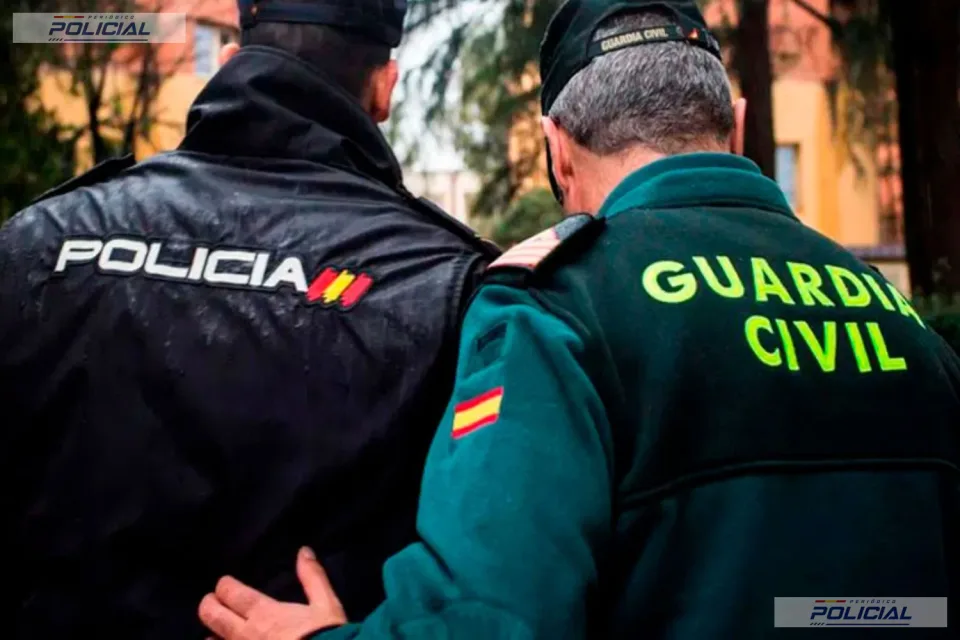 Doce detenidos en Dénia por la venta de prendas falsificadas en una operación con más de 2.200 artículos intervenidos