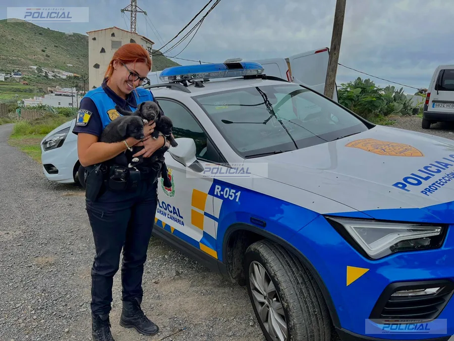 La Unidad de Mediación y Convivencia de la Policía Local de Las Palmas realiza 704 servicios en el primer semestre de 2026
